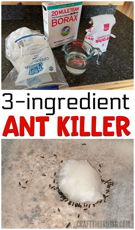 3 Ingredient Ant Killer Recipe - Using borax! I tried this cause my ...