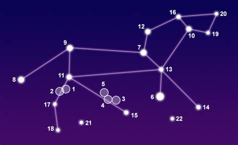 Constellation Leo - The Constellations on Sea and Sky