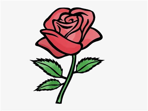 Pictures Of Cartoon Roses - Red Rose Easy Drawing - 554x565 PNG ...