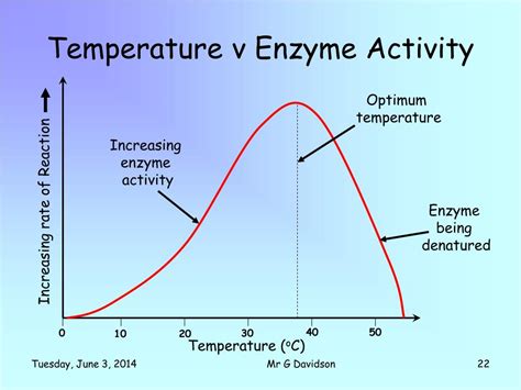 Enzyme Activity Graph Temperature