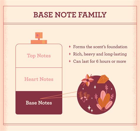 Fragrance Notes: Everything You Need to Know | FragranceX