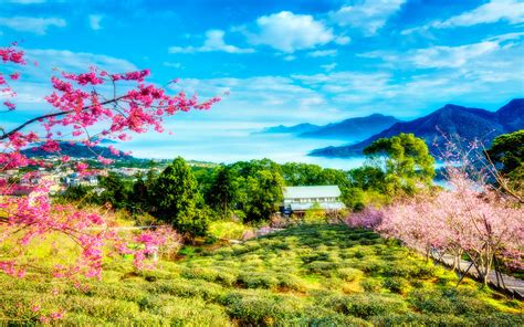 🔥 [50+] China Landscape Wallpapers | WallpaperSafari