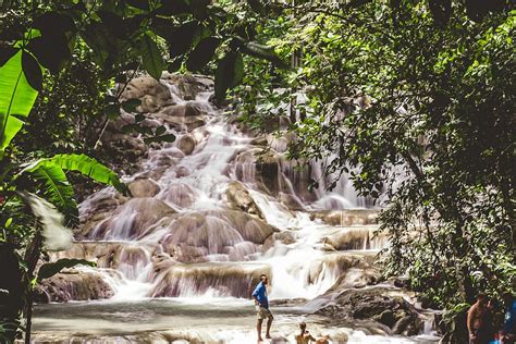 HD wallpaper: jamaica, ocho rios, jungle, rainforest, tropical, lake ...