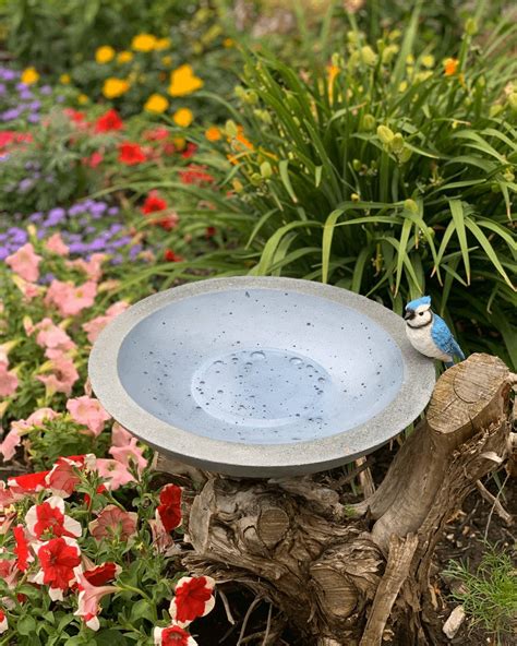 14.5 Inch Shallow Blue Concrete Bowl Bird Bath Handmade - Etsy Canada ...