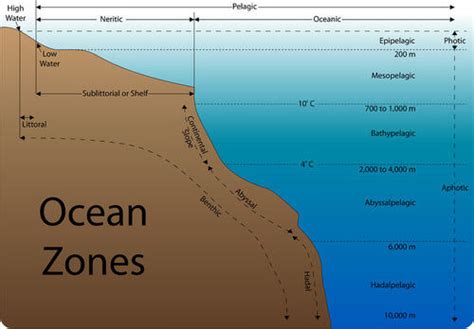 Ocean Zones ( Read ) | Earth Science | CK-12 Foundation