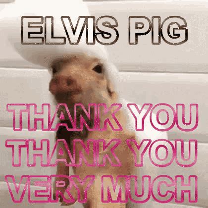 Happy Pig Thank You GIF - HappyPig ThankYou ThankYouVeryMuch - Discover ...