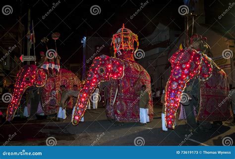 Ceremonial Elephants Parade Through The Temple Of The Sacred Tooth ...