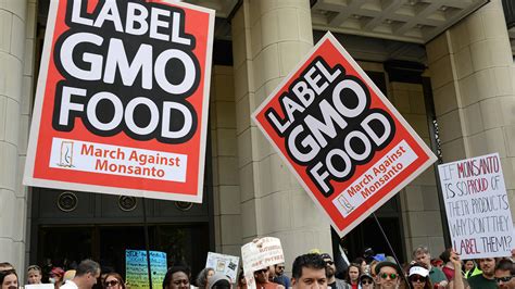 4 problems GMO labeling won't solve | Grist