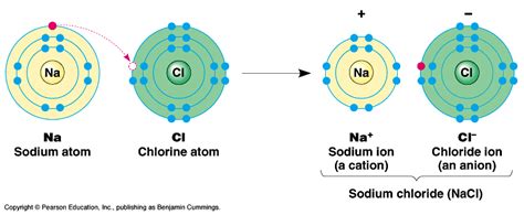 explain ionic bond with examples - Science - Acids Bases and Salts ...