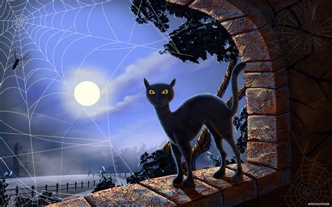 Halloween HD Wallpaper: Black Cat and Spider Web under the Full Moon