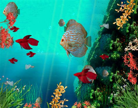 Free Fish Tank Wallpaper Animated - WallpaperSafari