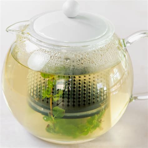 Fresh Herbal Tea (12 Herbs + How to Guide )