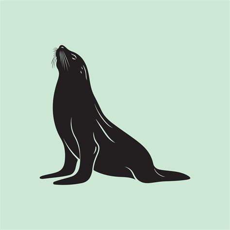 Sea lion vector, image and Illustration 34213054 Vector Art at Vecteezy