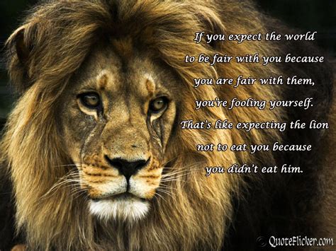 Lion Quotes Wallpapers - Wallpaper Cave