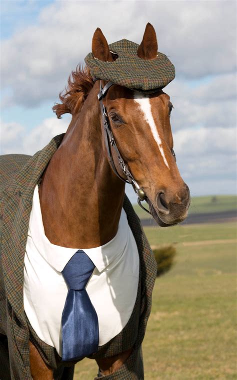 A Horse Wore A Suit Today | GQ