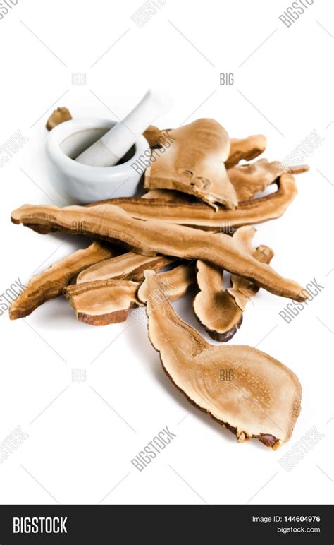 Lingzhi Mushroom, Image & Photo (Free Trial) | Bigstock