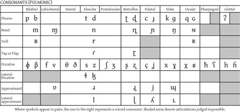 IPA Tutorial: Lesson 2 | Dialect Blog