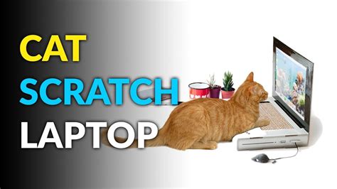 This Cat Scratch Laptop Keeps Them Off Yours While You're Working - YouTube