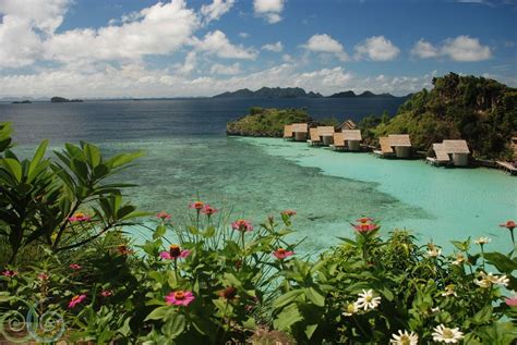 Misool Eco Resort Raja Ampat - Dive the centre of biodiversity