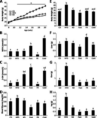 Metabolic and Tissue-Specific Regulation of Acyl-CoA Metabolism