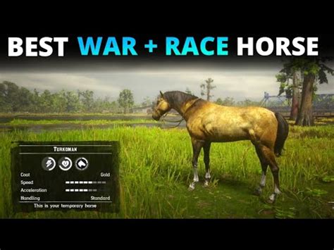 How to get TURKOMAN GOLD (Race+War) horse in Saint Denis for free ...