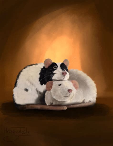 Two rats cuddling by HappyTailsPortraitss on DeviantArt