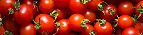 Tomato Allergy Test | Allergy testing