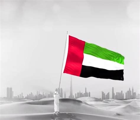 Abu Dhabi Aviation celebrates UAE Flag Day – Abu Dhabi Aviation