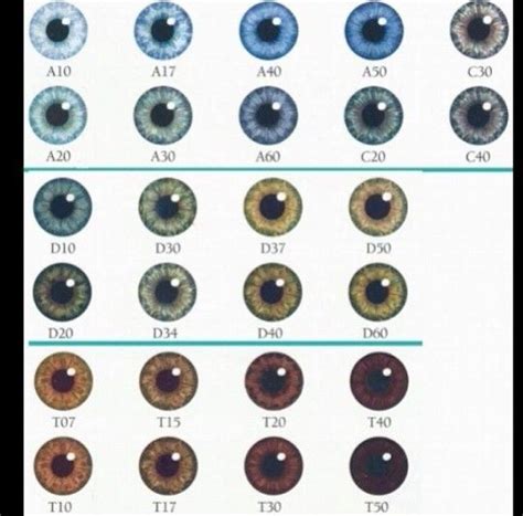 t10,t20,t30 are the only colors my eyes change through. highly depends ...