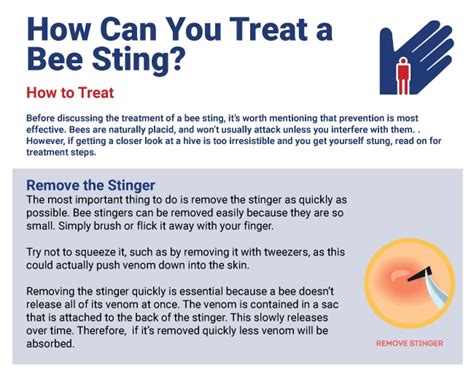 First Aid for Bee Stings | Vital First Aid Training Services