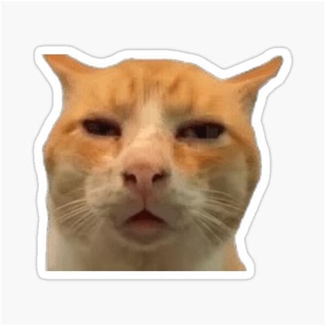 "HUH Cat Emote" Sticker for Sale by StreamMemes | Redbubble