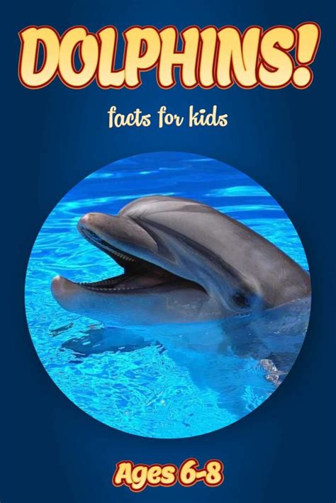 Dolphin Facts – Kids Non Fiction Book (Ages 6-8) – clouducated