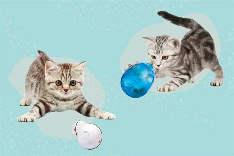 The 9 Best Interactive Cat Toys of 2023