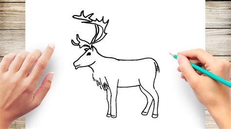 How to Draw Reindeer Step by Step - YouTube