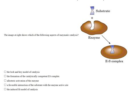 substrate the image at right shows which of the following aspects of ...