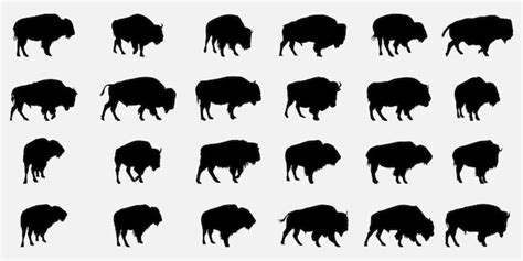 Premium Vector | Bison silhouette design template