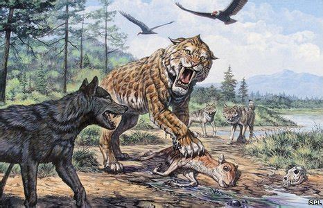 Smilodon