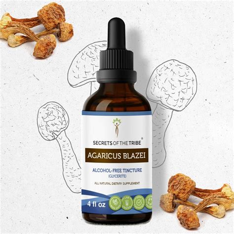 Agaricus Blazei Tincture Alcohol-FREE Extract, Bisporus, Button ...