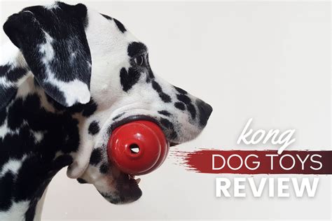 Kong Dog Toys Review: Fun, Durable & Multipurpose? - Canine Bible