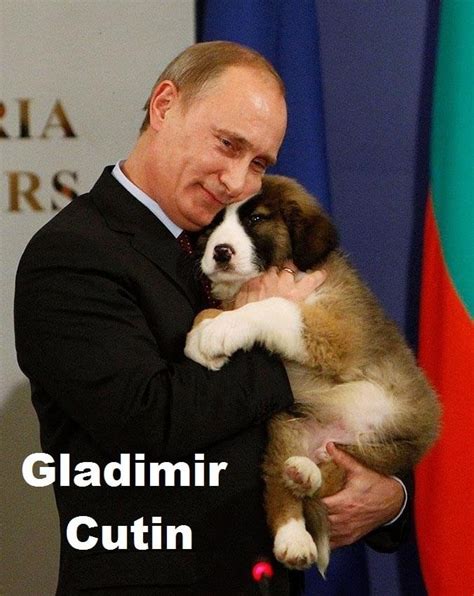 Vladimir Putin : funny