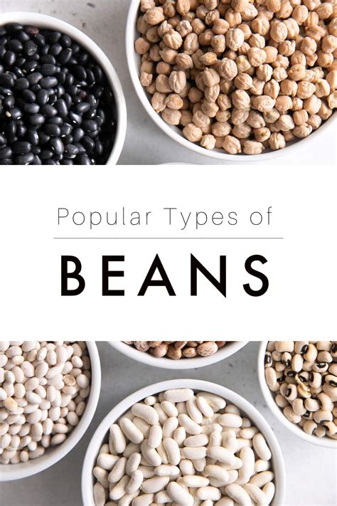 15 Types of Beans - And How to Use Them - The Forked Spoon