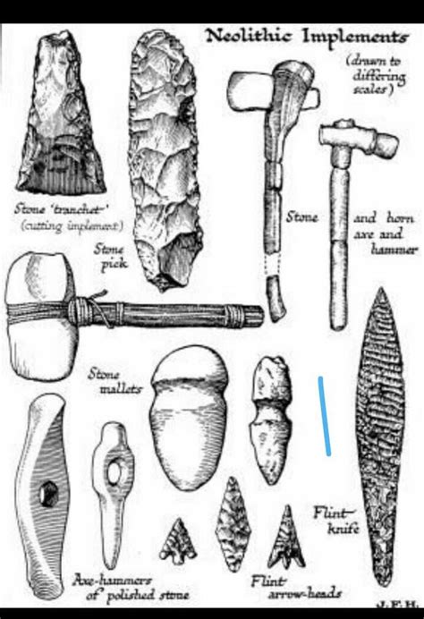 Draw different types of tools used by the Hunter -Gatherers . Write how ...