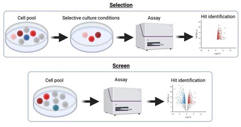 Plasmids 101: Screens vs. Selections