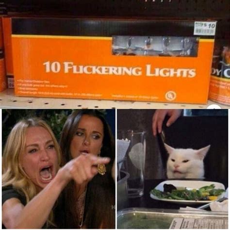 Woman yelling at cat Blank Template - Imgflip