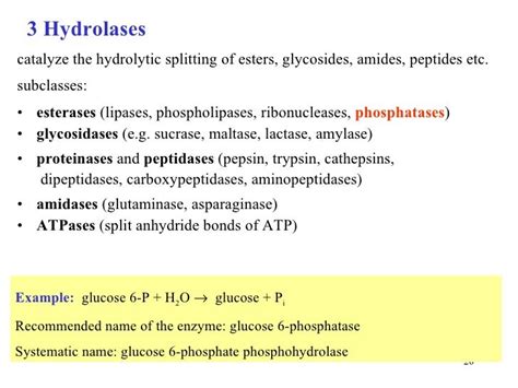 Enzymes 1