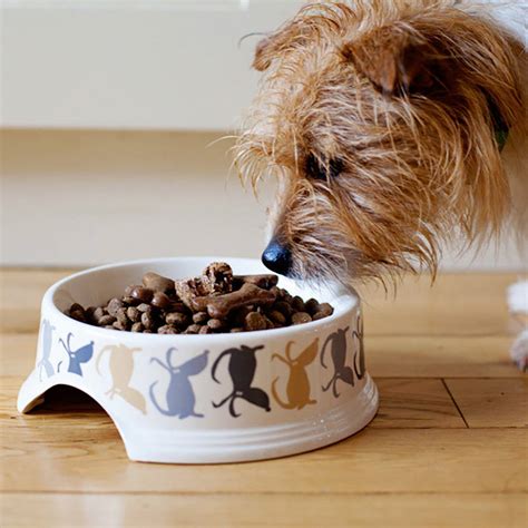 ceramic dog bowl by poppy & rufus | notonthehighstreet.com