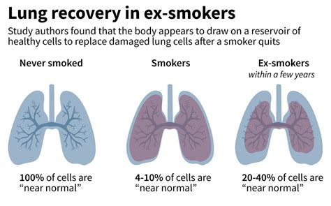 How quitting smoking reverses lung cell damage | Prothom Alo