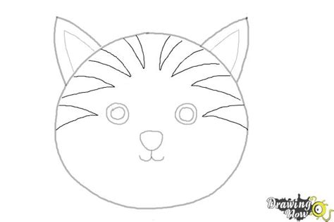 How to Draw a Cat Face - DrawingNow