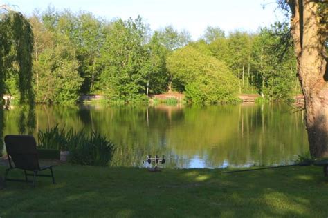 Suffolk Carp Fishing Lakes Near Me - Discover The Best Fishing Spots