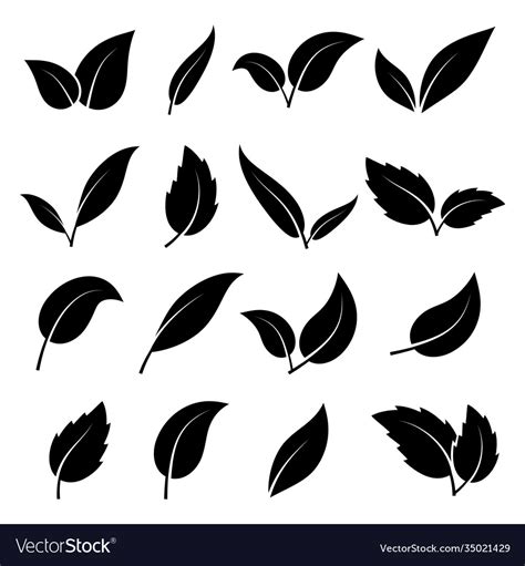 Leaf silhouette black leaves trees Royalty Free Vector Image